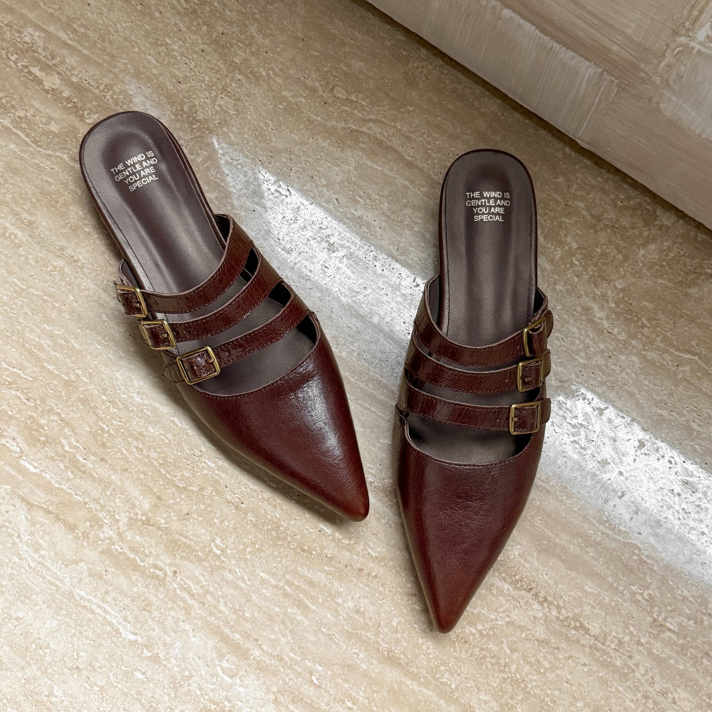 Women's Modern Leather Pointed-Toe Mules - Triple Buckle Straps - 2.5cm Low Heel