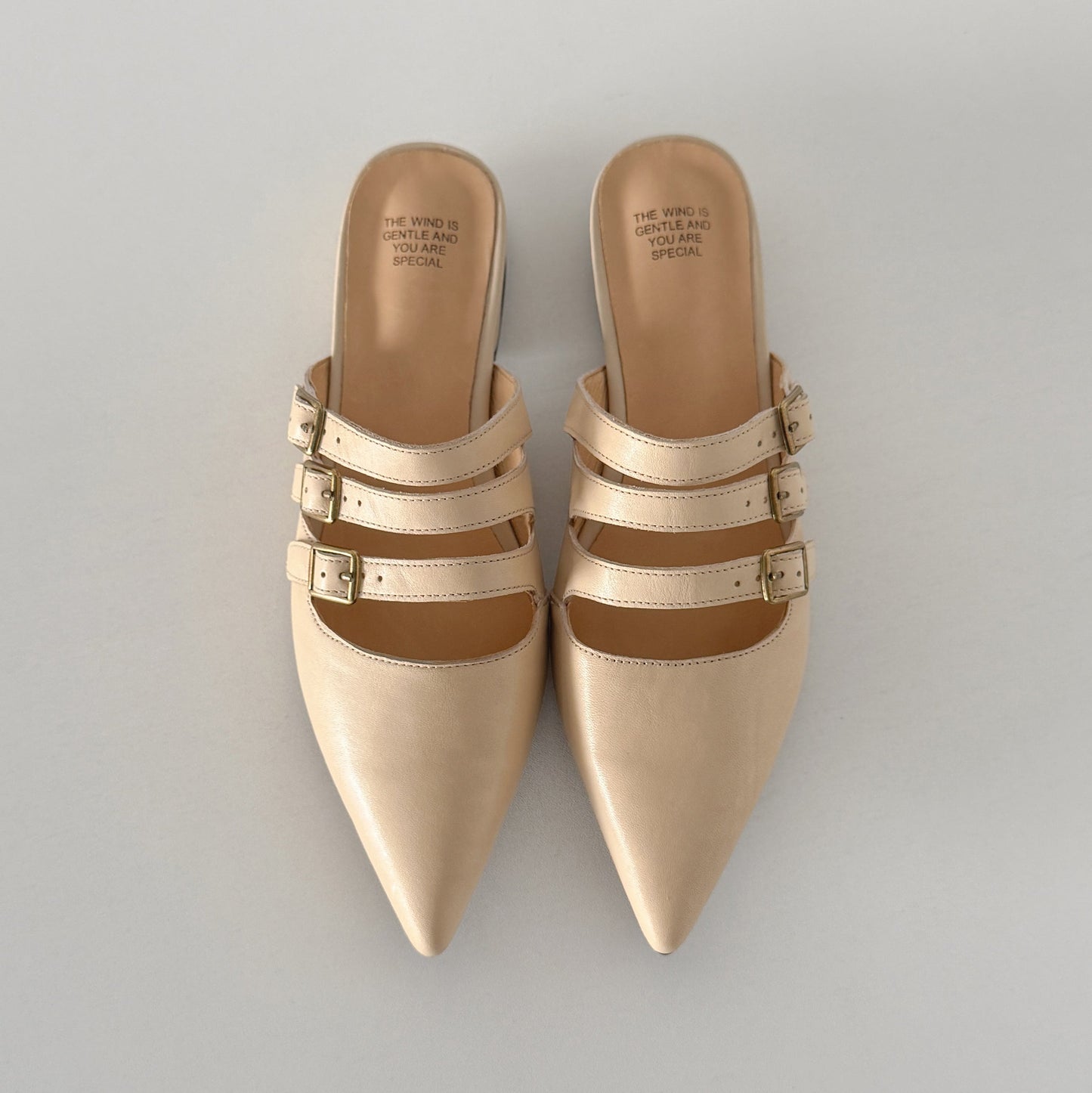 Women's Modern Leather Pointed-Toe Mules - Triple Buckle Straps - 2.5cm Low Heel