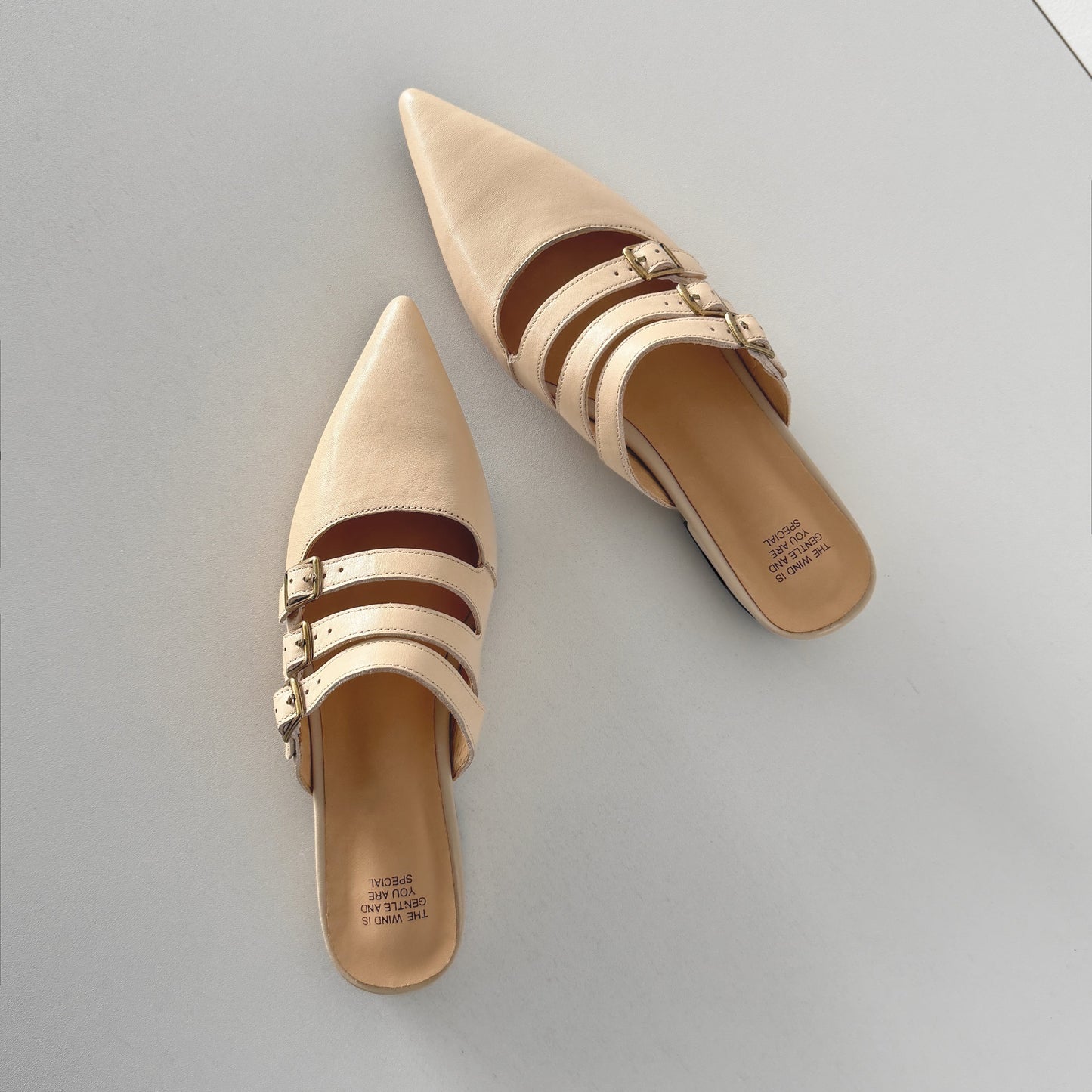 Women's Modern Leather Pointed-Toe Mules - Triple Buckle Straps - 2.5cm Low Heel