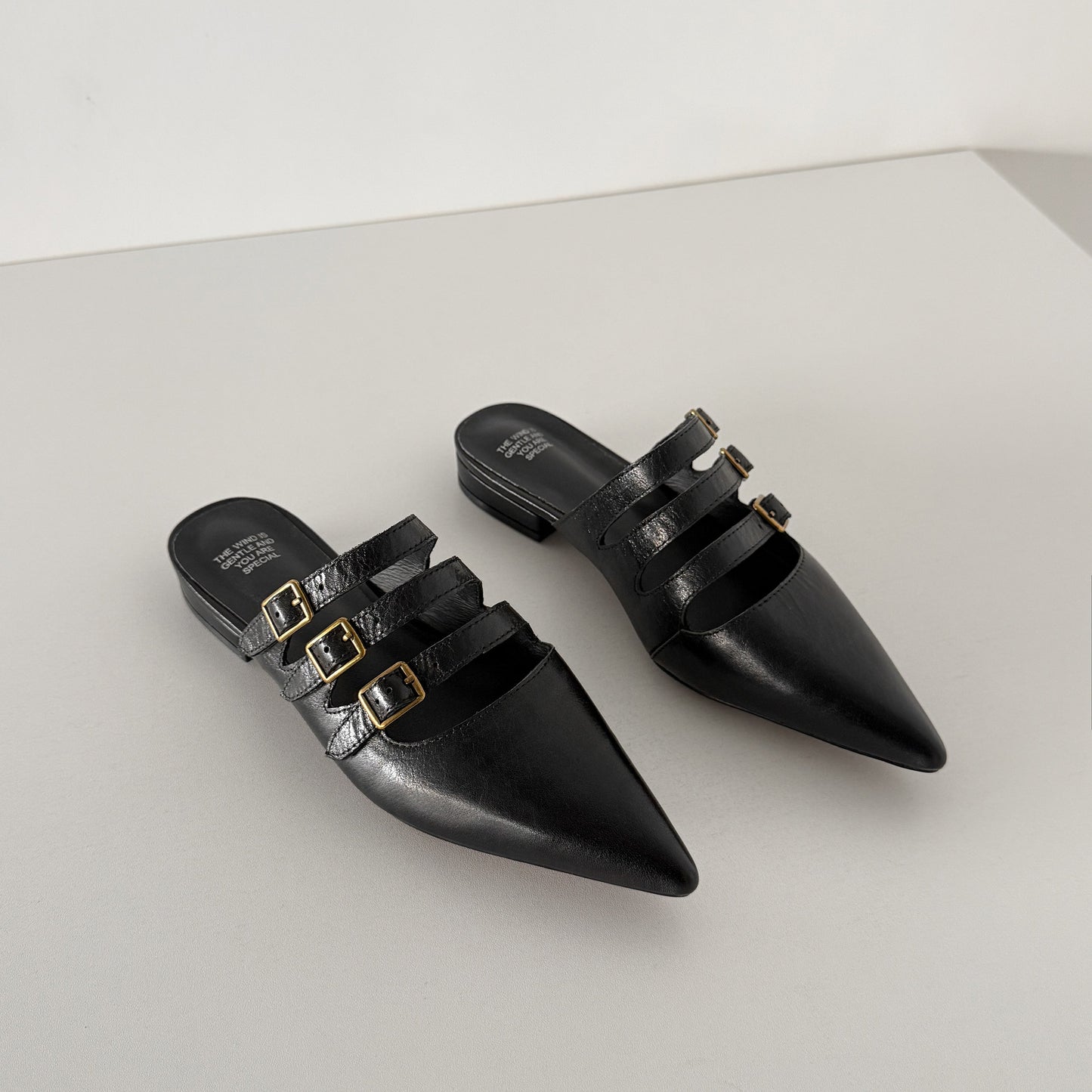 Women's Modern Leather Pointed-Toe Mules - Triple Buckle Straps - 2.5cm Low Heel